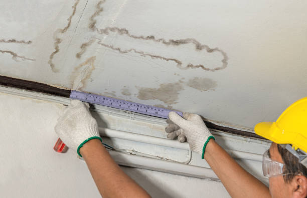 Reliable Water Damage contractor in Kerens, TX by Water Damage Irwin